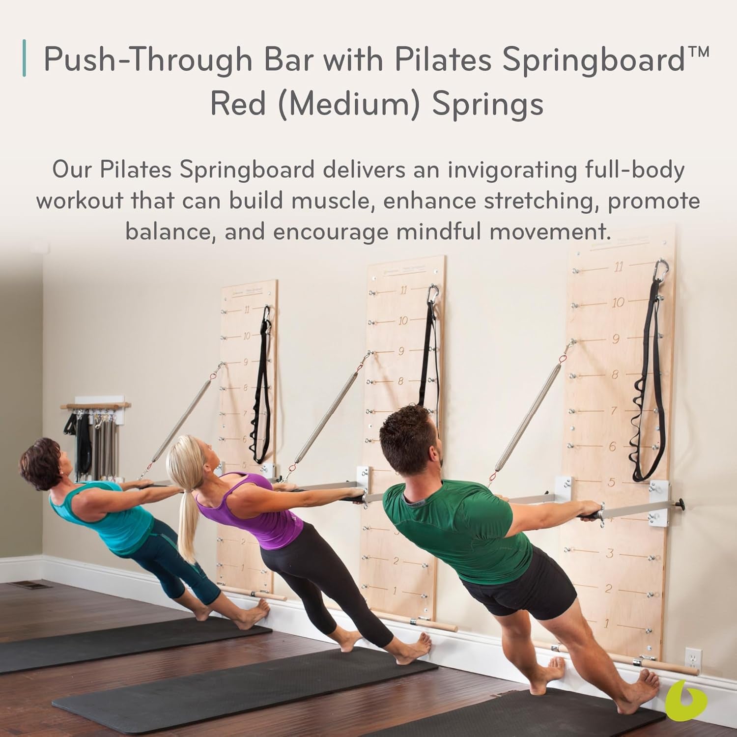 Pilates Springboard and Push-Through Bar